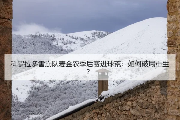科罗拉多雪崩队麦金农季后赛进球荒：如何破局重生？