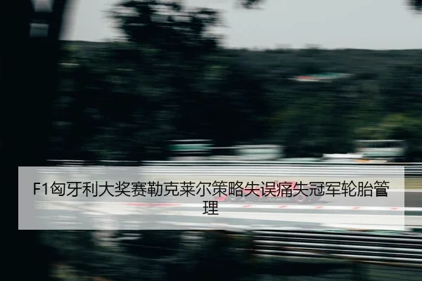 xiong-ya-li-da-jiang-sai-lei-ke-lai-er-ce-lve-shi-wu-tong-shi-guan-jun-lun-tai-guan-li-2-355.jpg